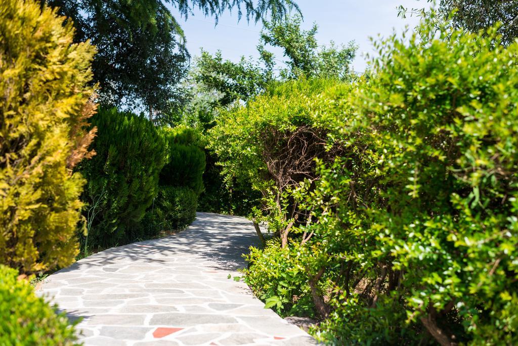 Anastasia Apartments Skala Potamia (Thasos) Exterior foto